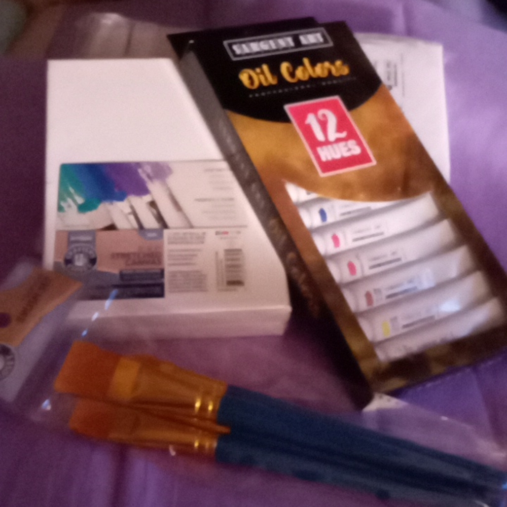 Oil art paints with 6pc brush set and 2- 5x7 canvas NEW